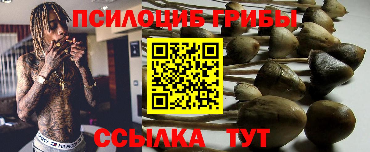 закладка  Псилоцибиновые грибы Psilocybe  Вход с VPN  Мелеуз 